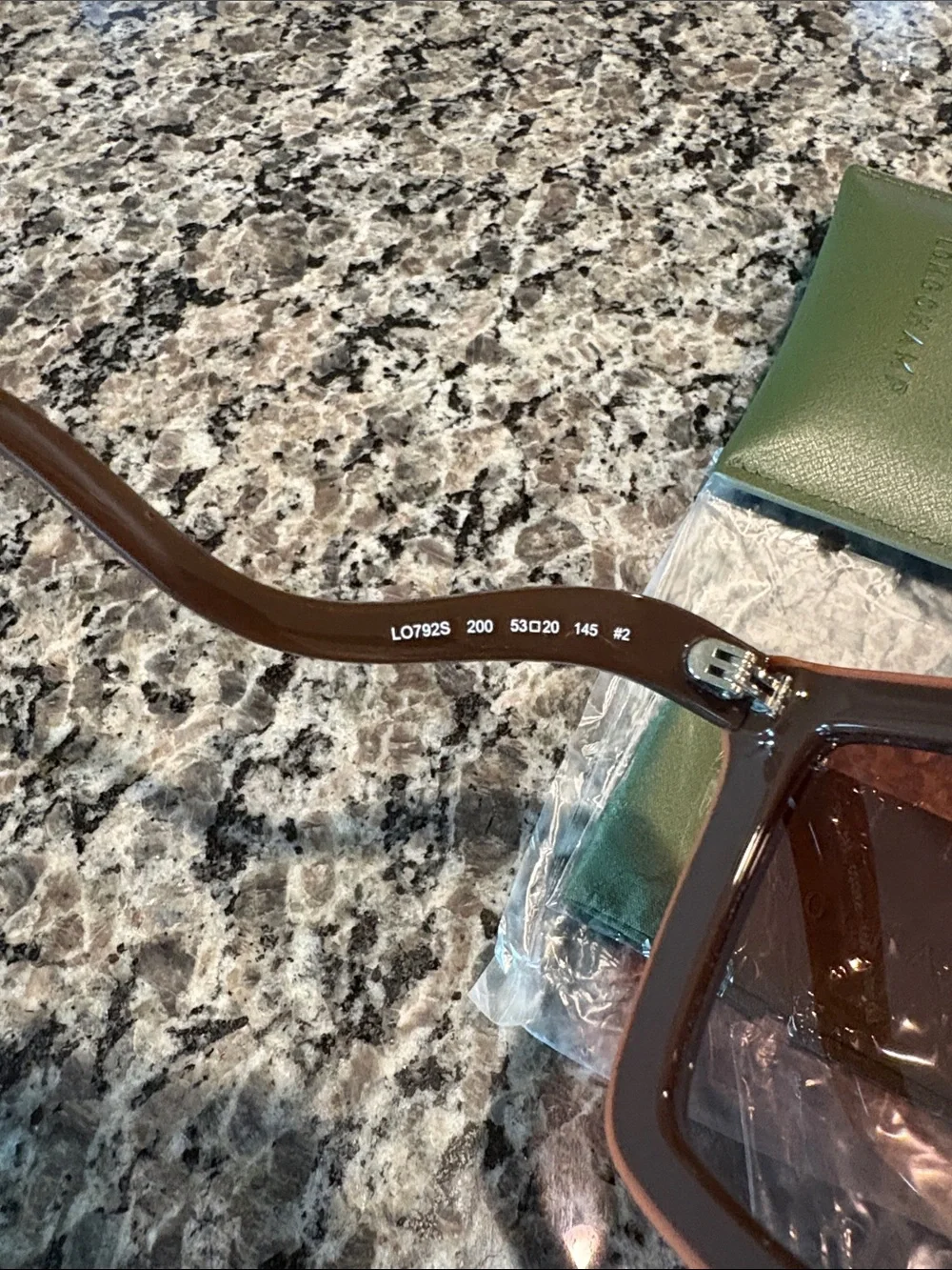 Longchamp nwt oversized